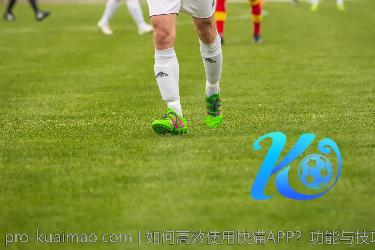 如何高效使用快猫APP？功能与技巧全解析