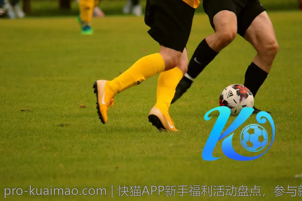 快猫APP新手福利活动盘点，参与就有机会