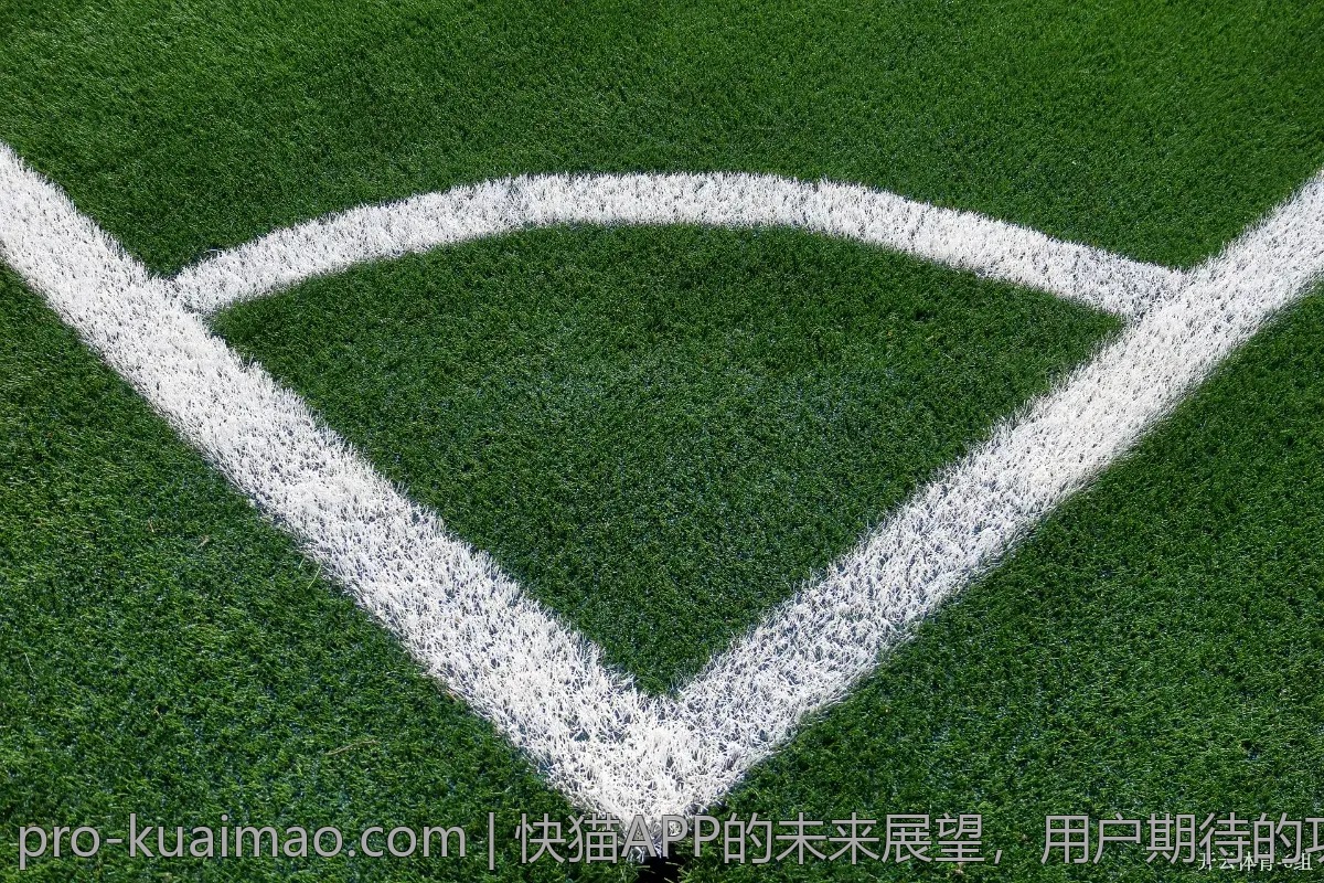 快猫APP刷榜内幕揭秘，背后的真相是什么？